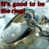 ring1icon.jpg